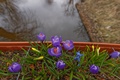 Impressionen10
