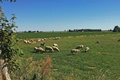Impressionen29