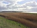 Impressionen12