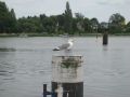 Impressionen23