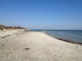 Strand19