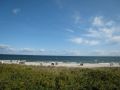Strand2