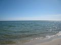 Strand24
