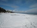 Strand25