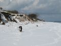 Strand26