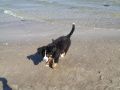 Strand7