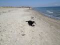 Strand8