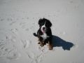 Strand9